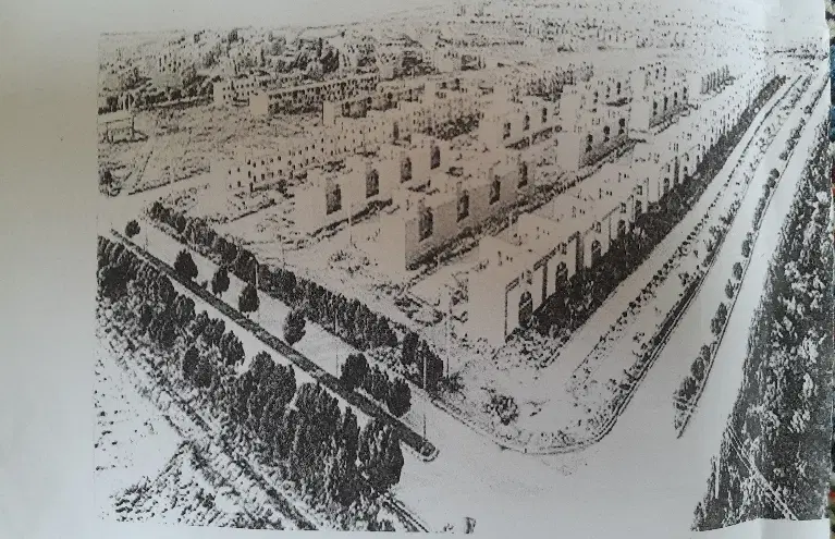 سهم ۲۵۰ از زمین تعاونی شهرداری