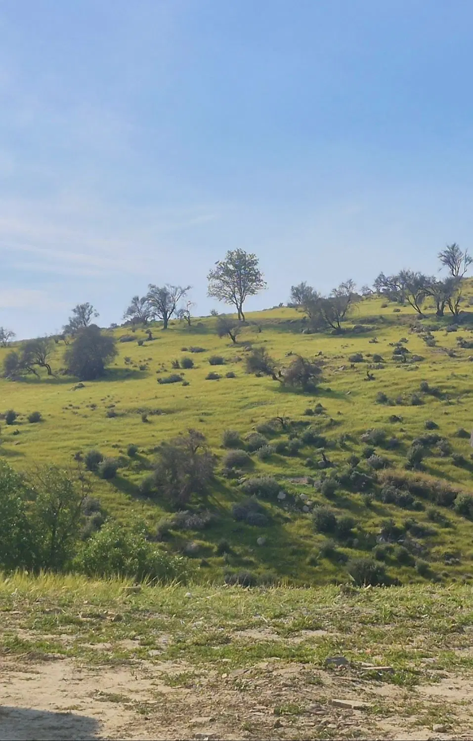 زمین کشاورزی
