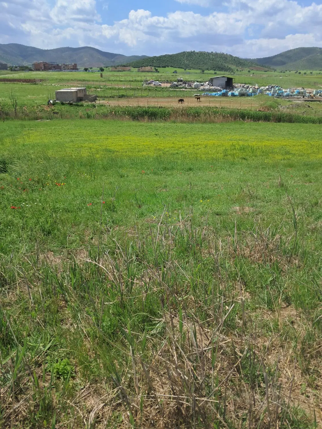 خانه اجاره ای (نیازمند)