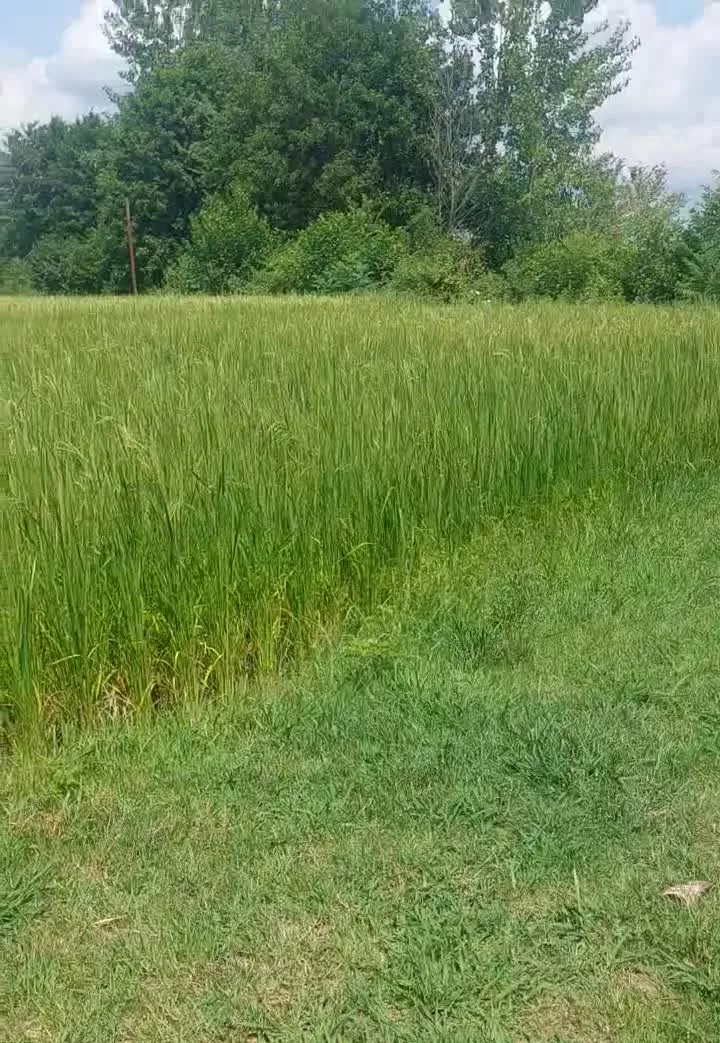 ۷۵۰ متر باغ ویلایی قلب بهشت