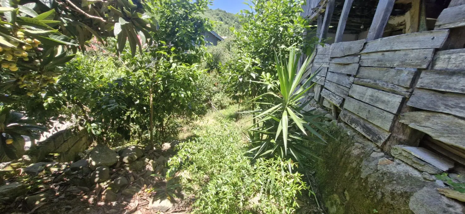 خونه قدیمی کاهگلی ،اطاقور