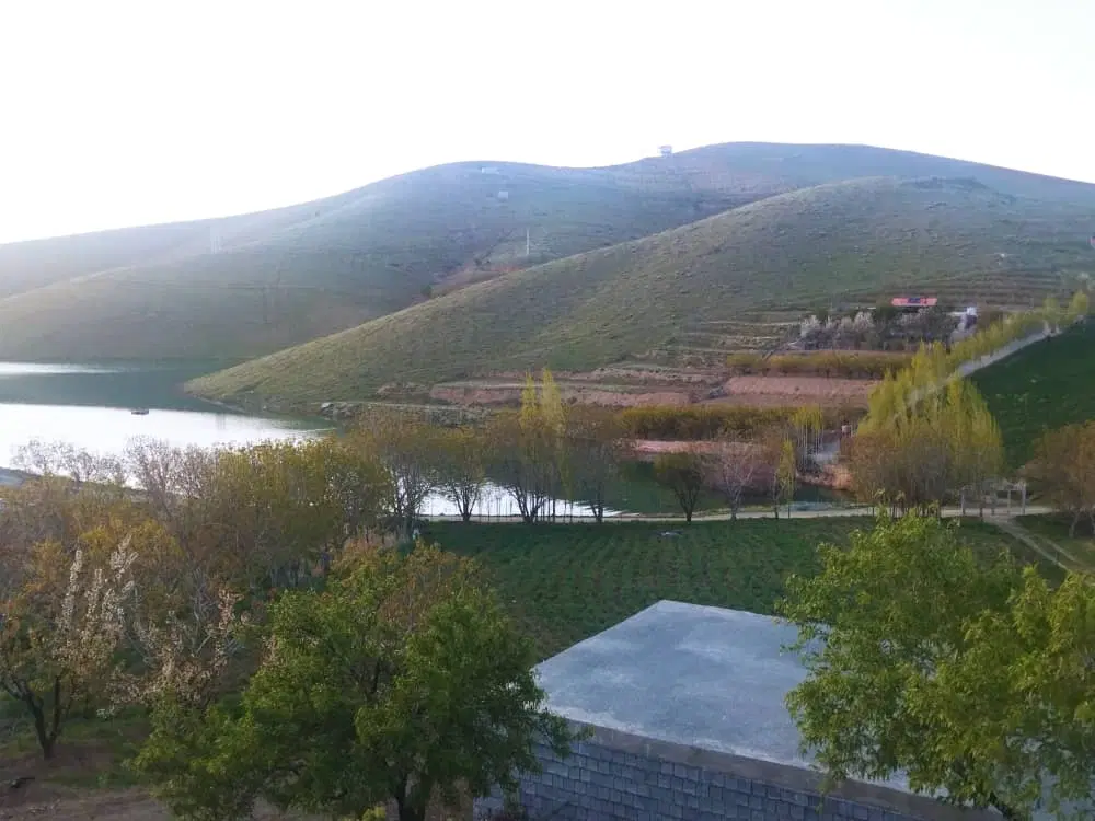 فروش باغ زمین زراعی