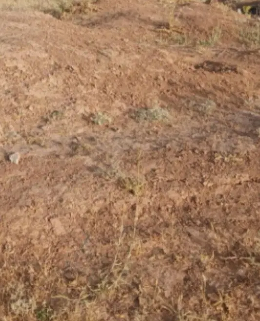 فروش زمین مسکونی،واقع درتازاباد ملاکه