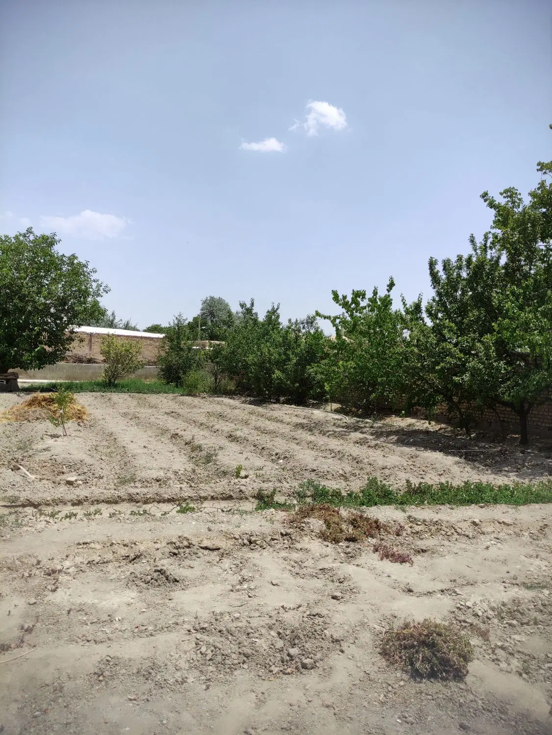 زمین مسکونی