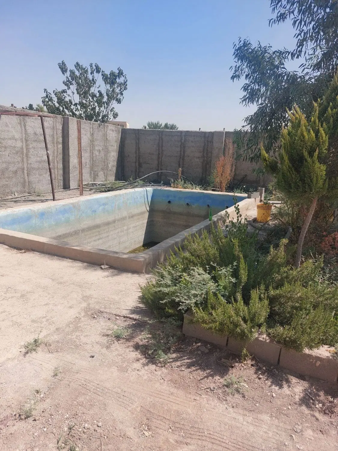 فروش باغ پسته با قیمت بسیار مناسب فوری فروش