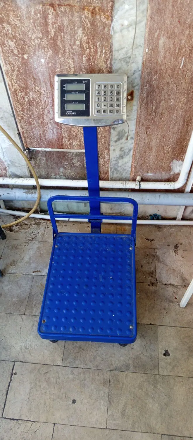 واگذاری مغازه مرغ فروشی