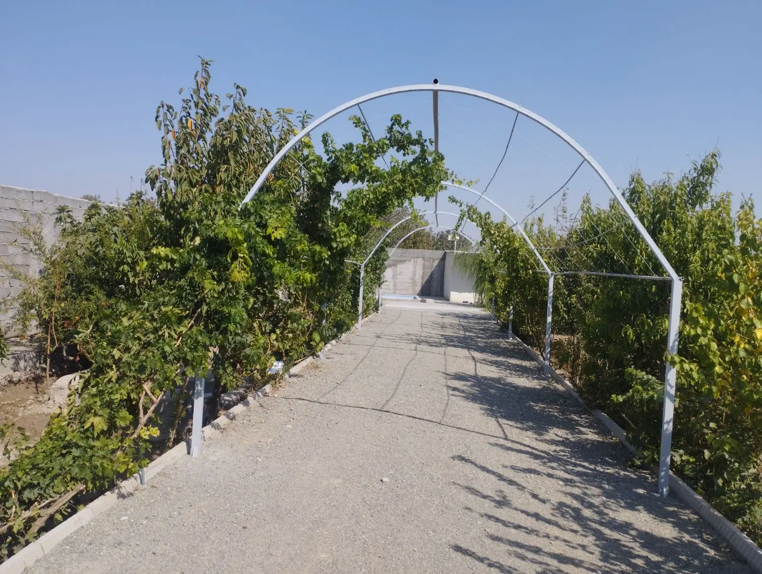 باغچه ویلایی
