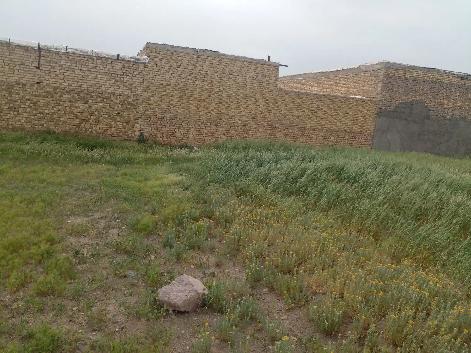 زمین ویستان پایین