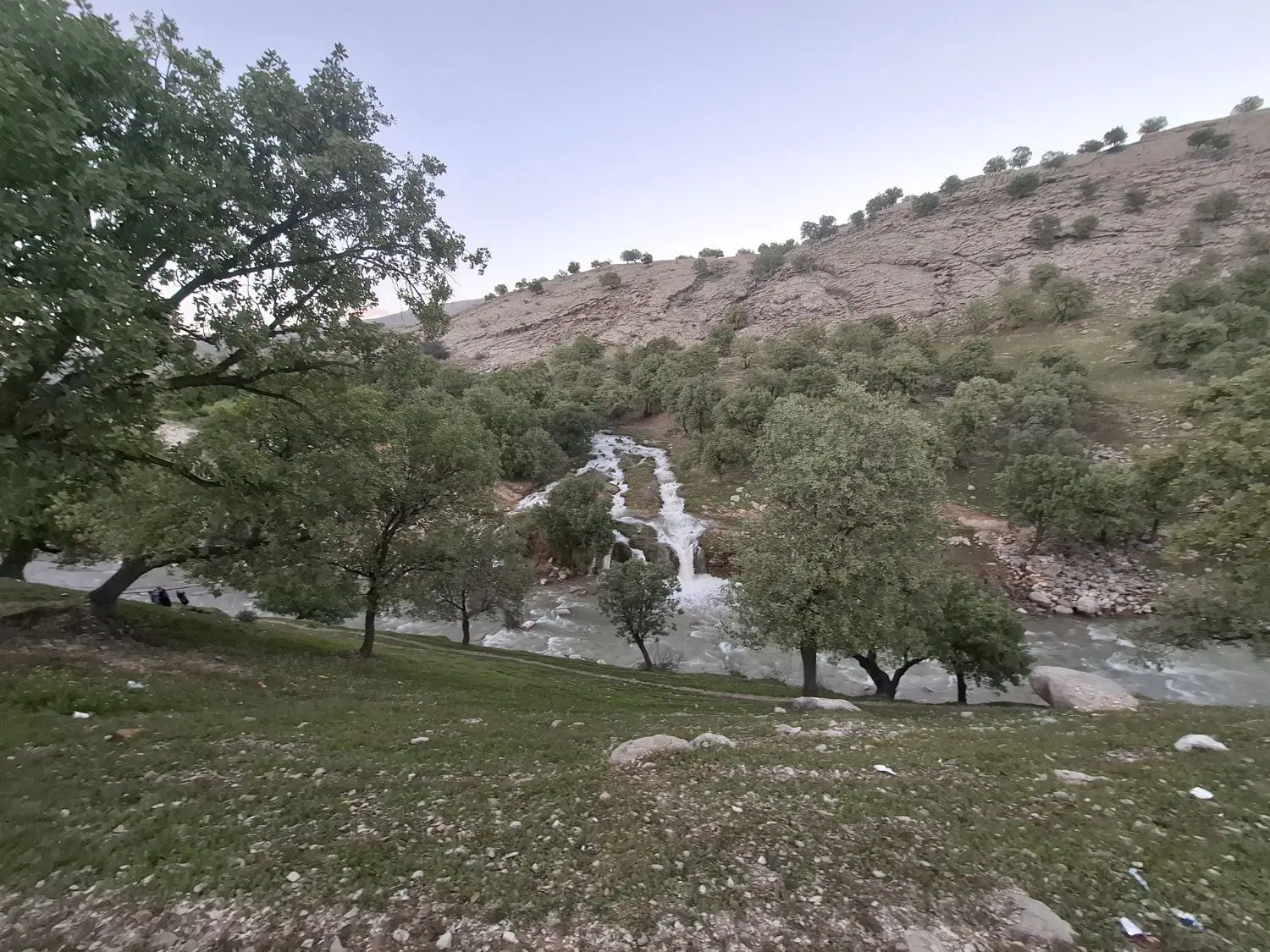 اجاره یک مرغداری ده هزارتایی با شرایط ویژه ویژه