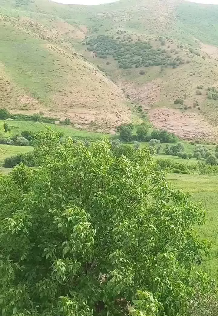 اجاره خونه باغ در جاده دریاچه گهر