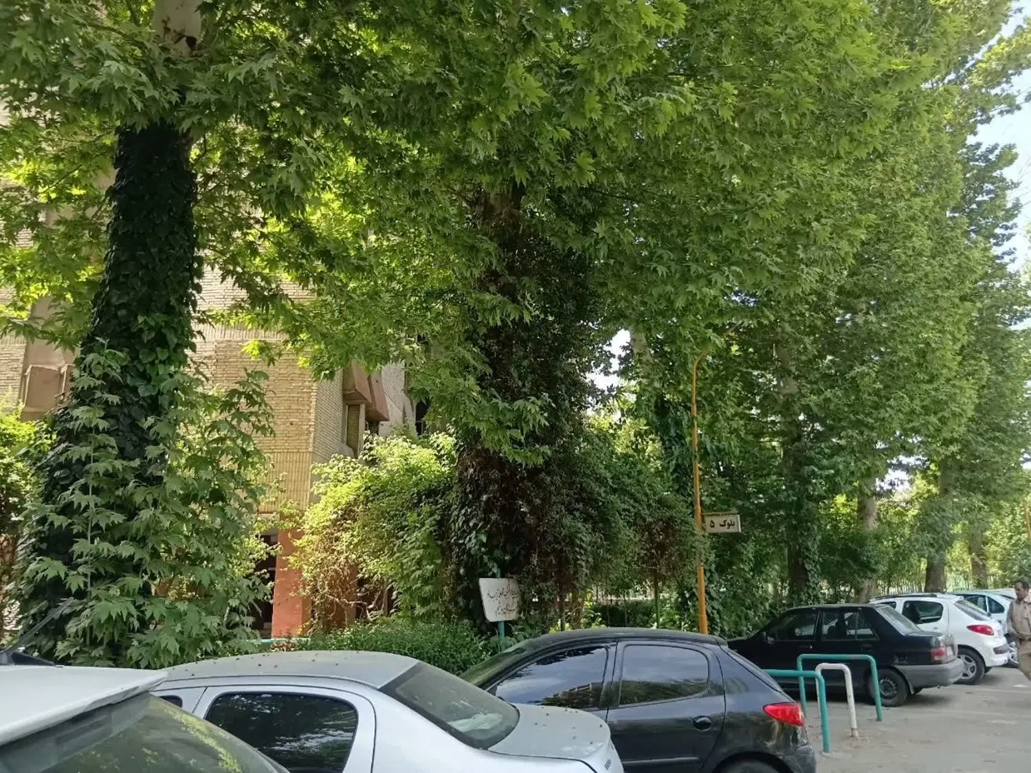 رهن و اجاره