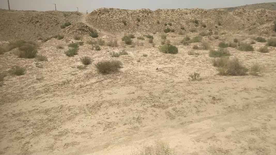 زمین در چشمه زیارت