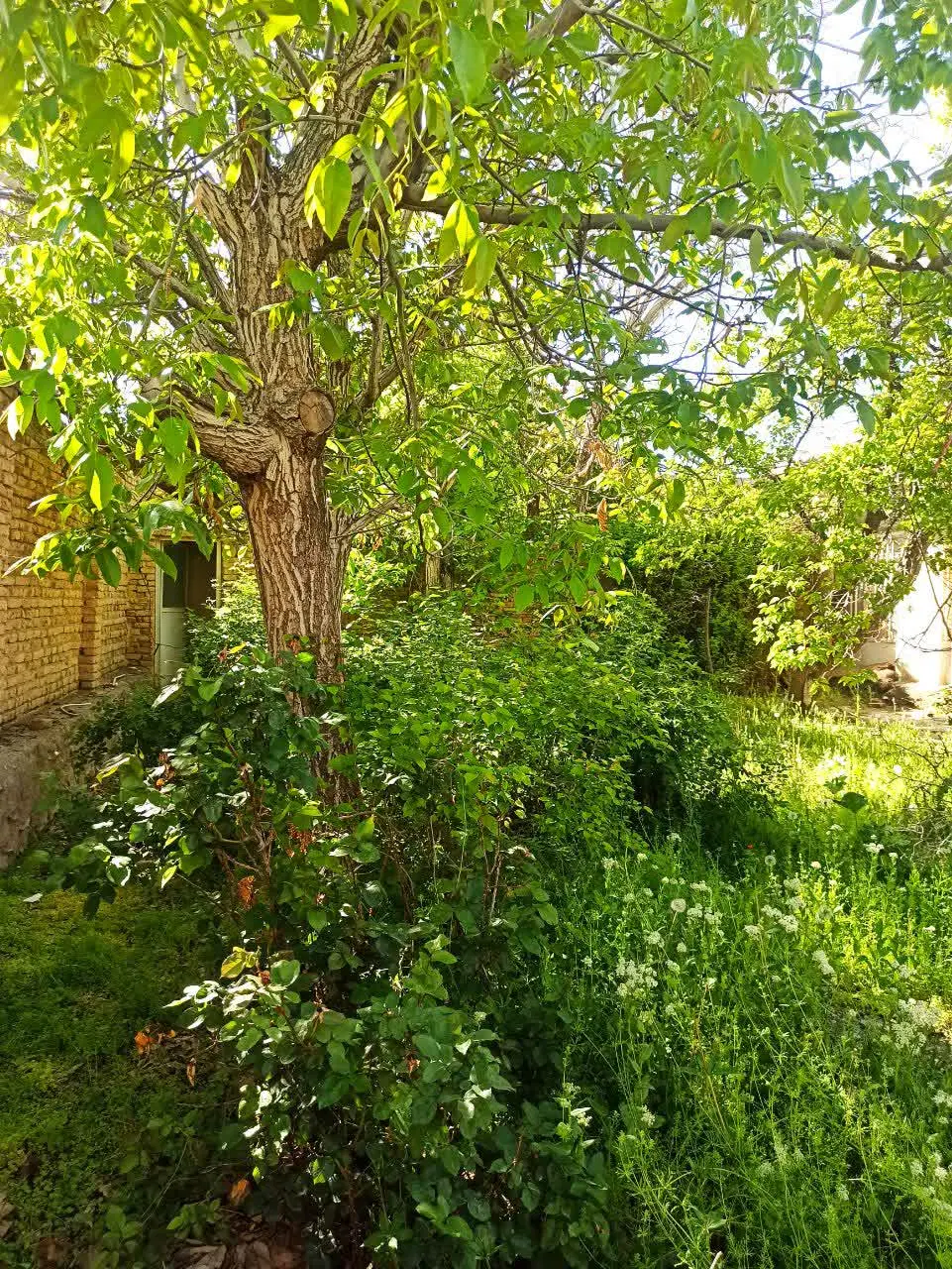 خانه ویلایی
