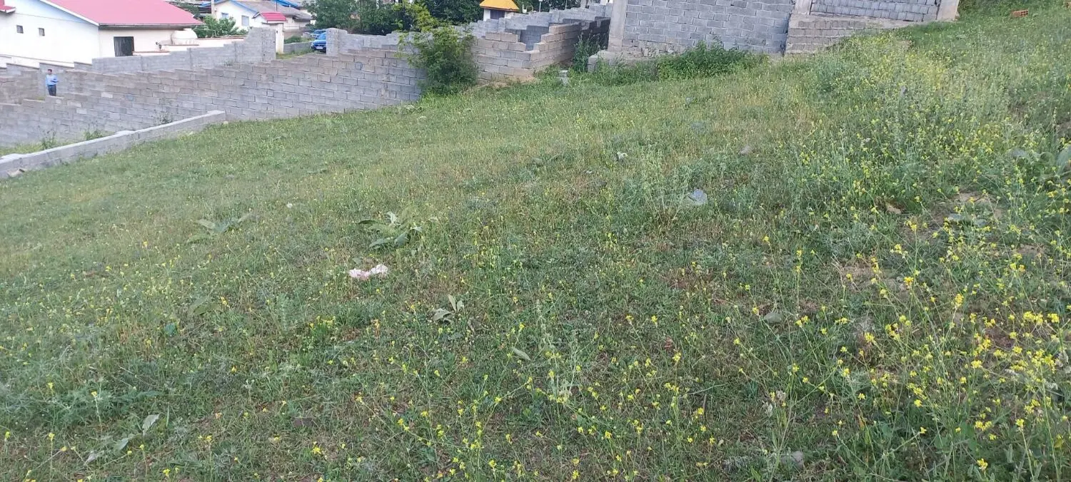 زمین 460 متری در روستای توریستی پردنگون