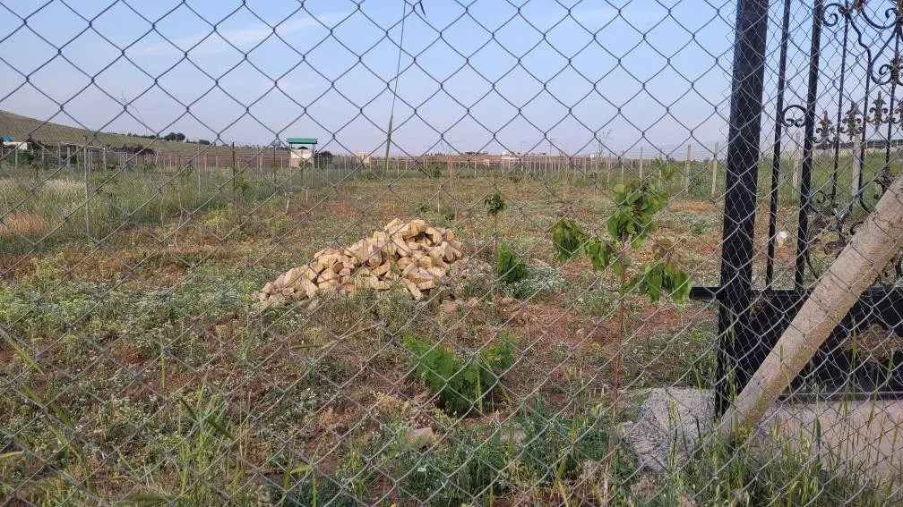 باغ در شینقر