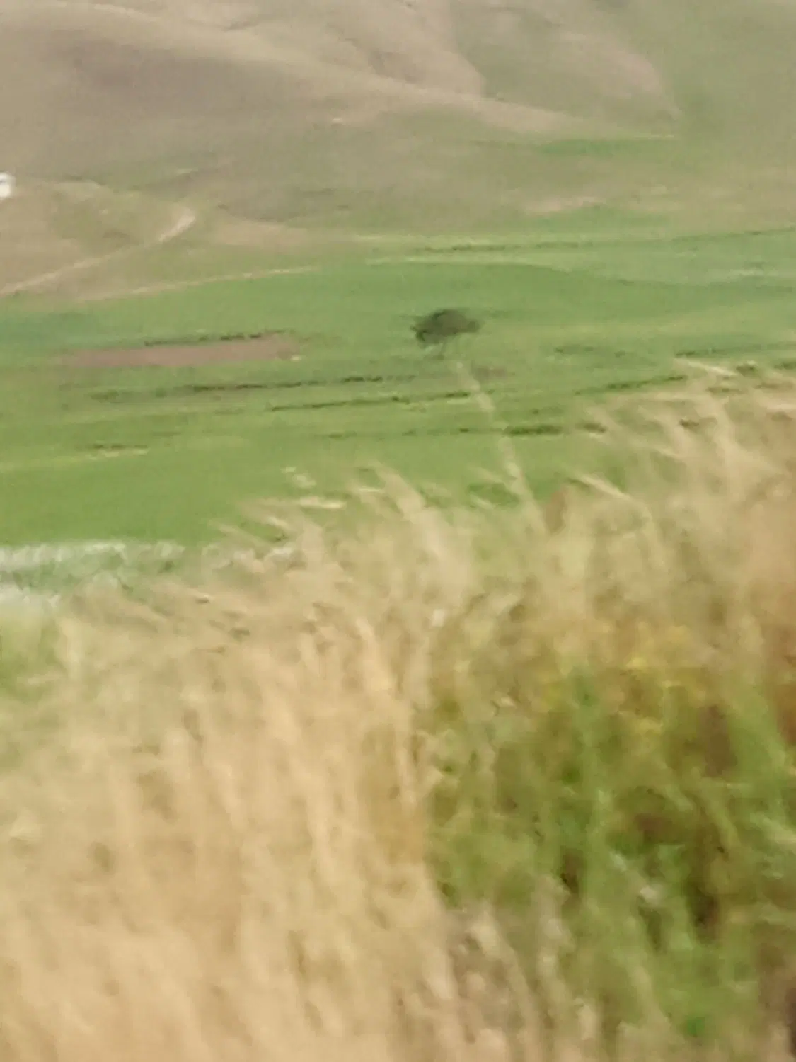 زمین کلنگی خیابان اراک کوچه پارکینگ شهرداری