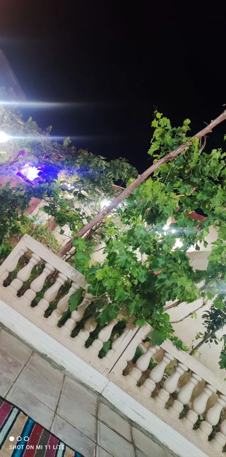 خونه باغ فروشی