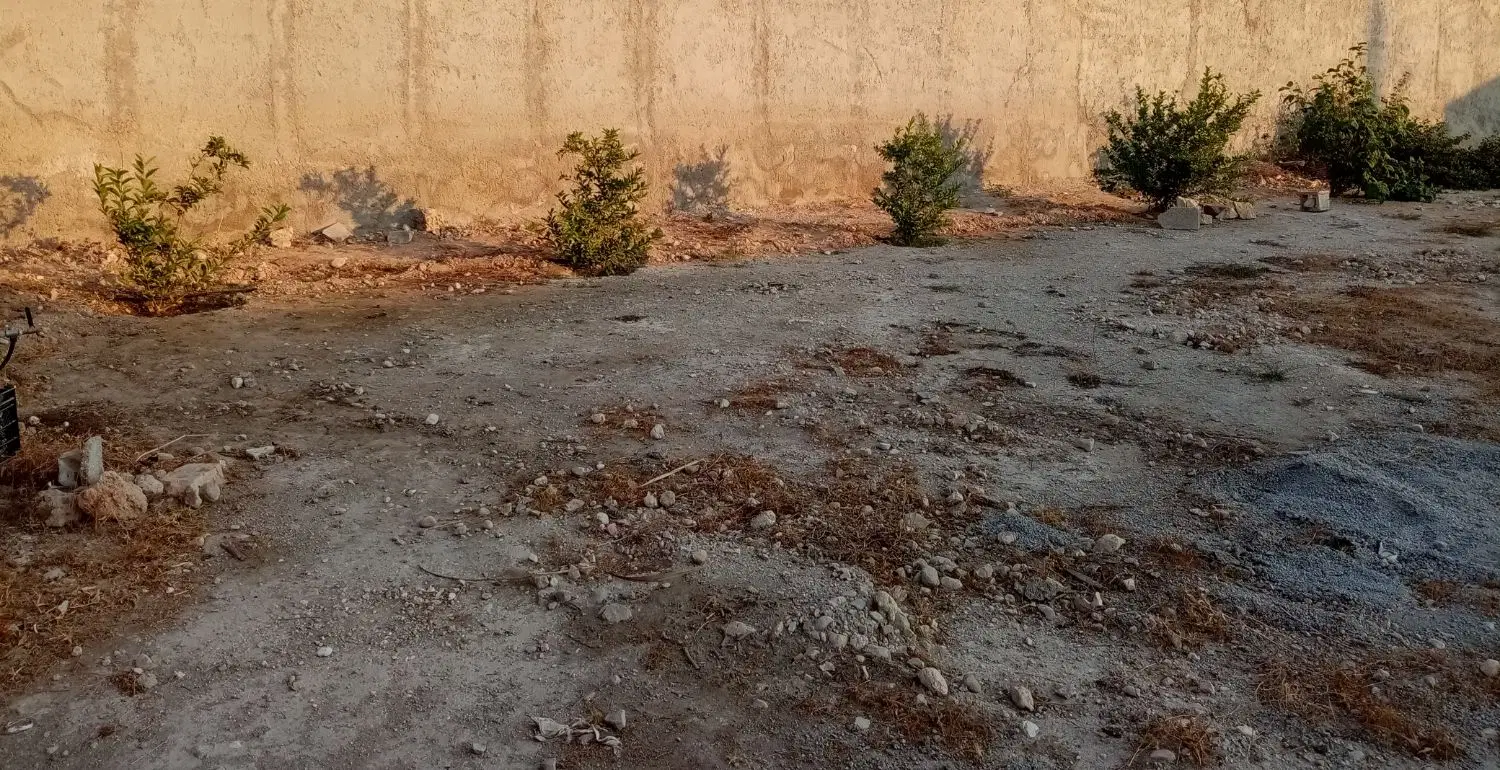 زمین گورک سرتل