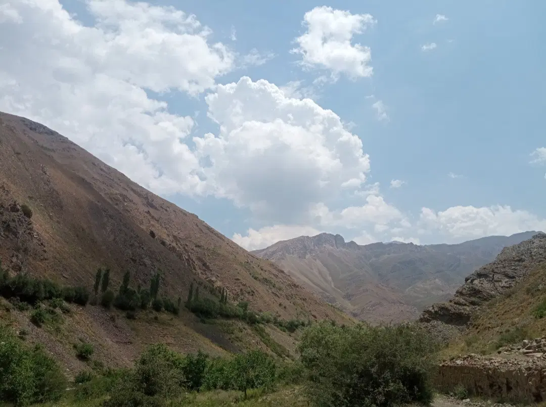 زمین باغی 732 متر