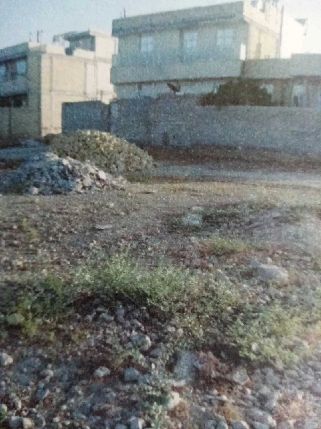 زمین مسکونی کازرون، پردیس