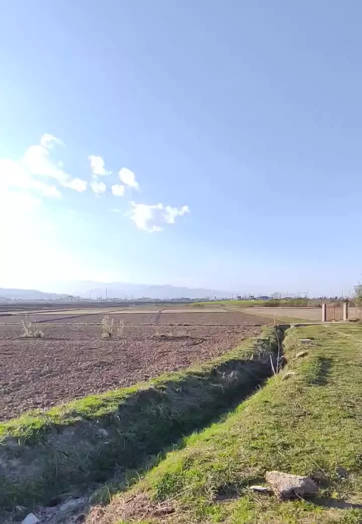 زمین مزروعی کشاورزی چسبیده به مسکونی
