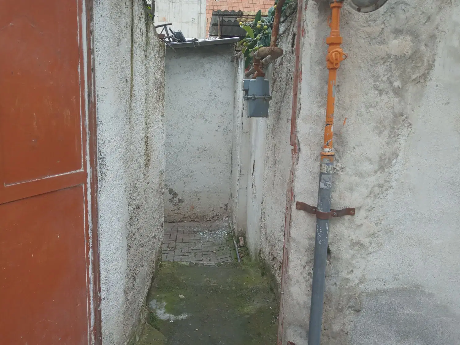 اجاره دانشجویی گرگانجدید