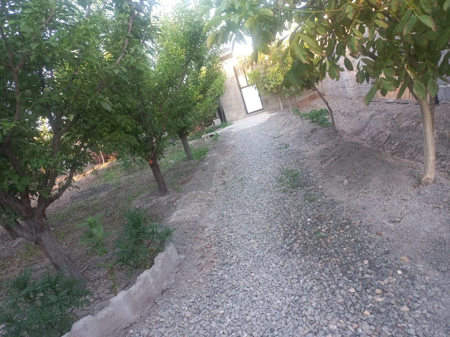 ۸۰۰مترویلاباغ شیک دارای برق واب