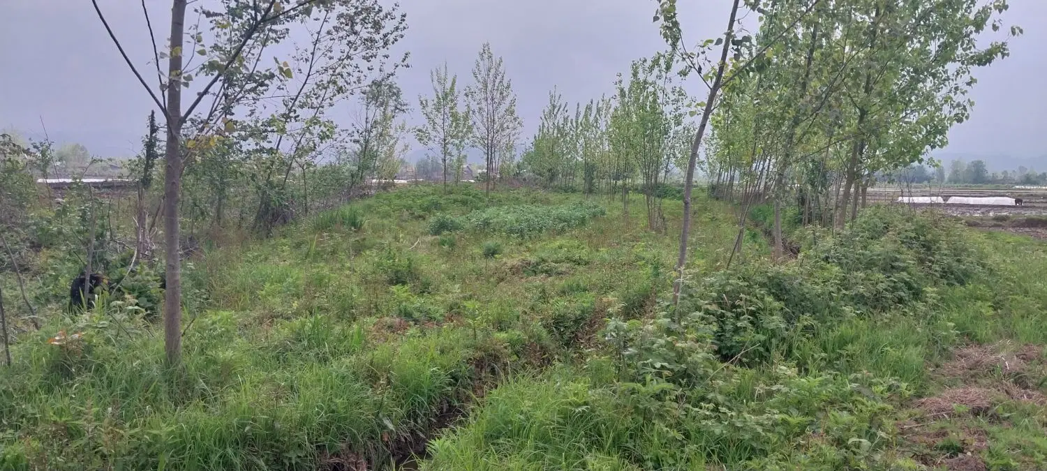 زمین روستایی خارج طرح