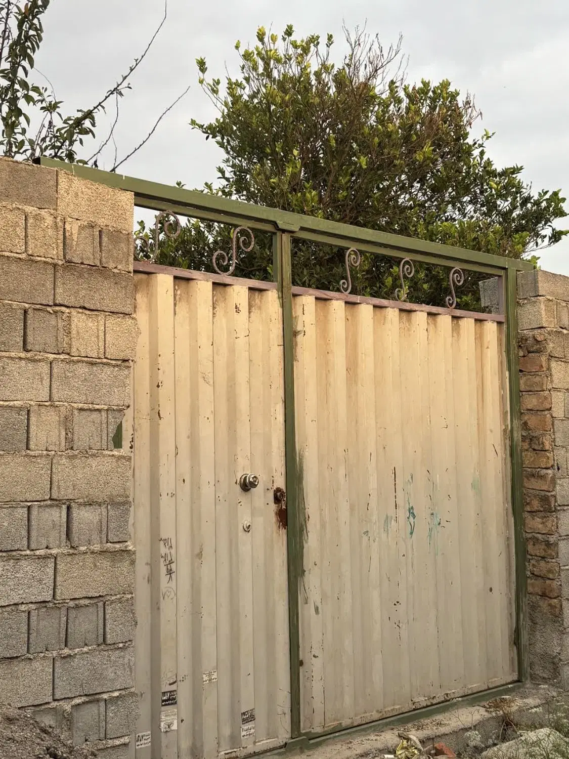 باغ و زمین