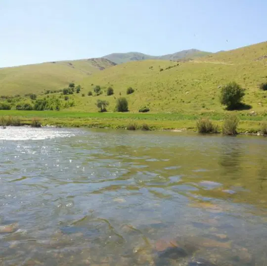 زمین کهریزه سردار