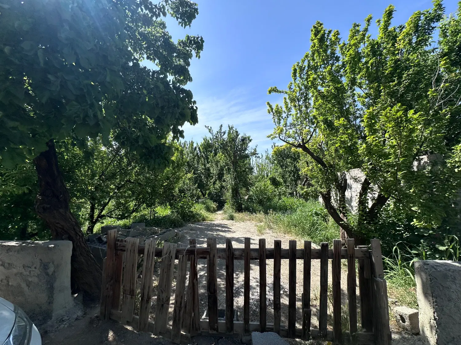 480متر باغچه آباد