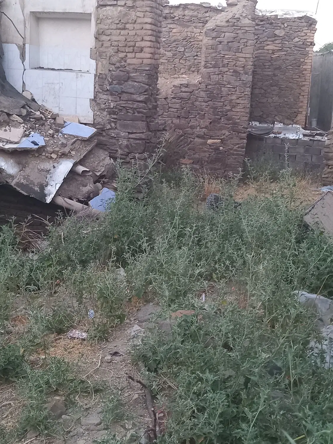 زمین مسکونی درچشن