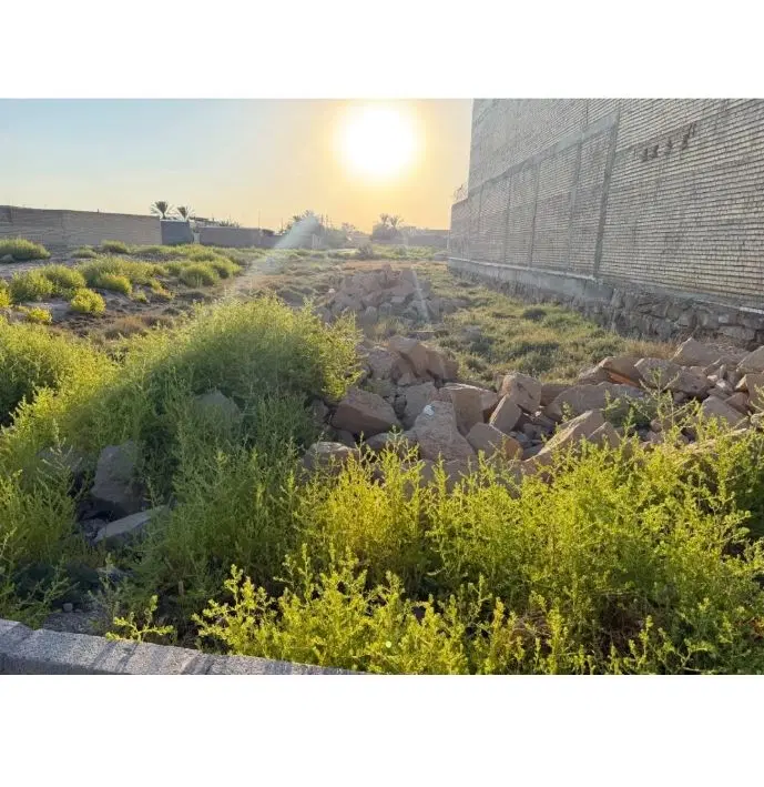 فروش زمین ربیحات