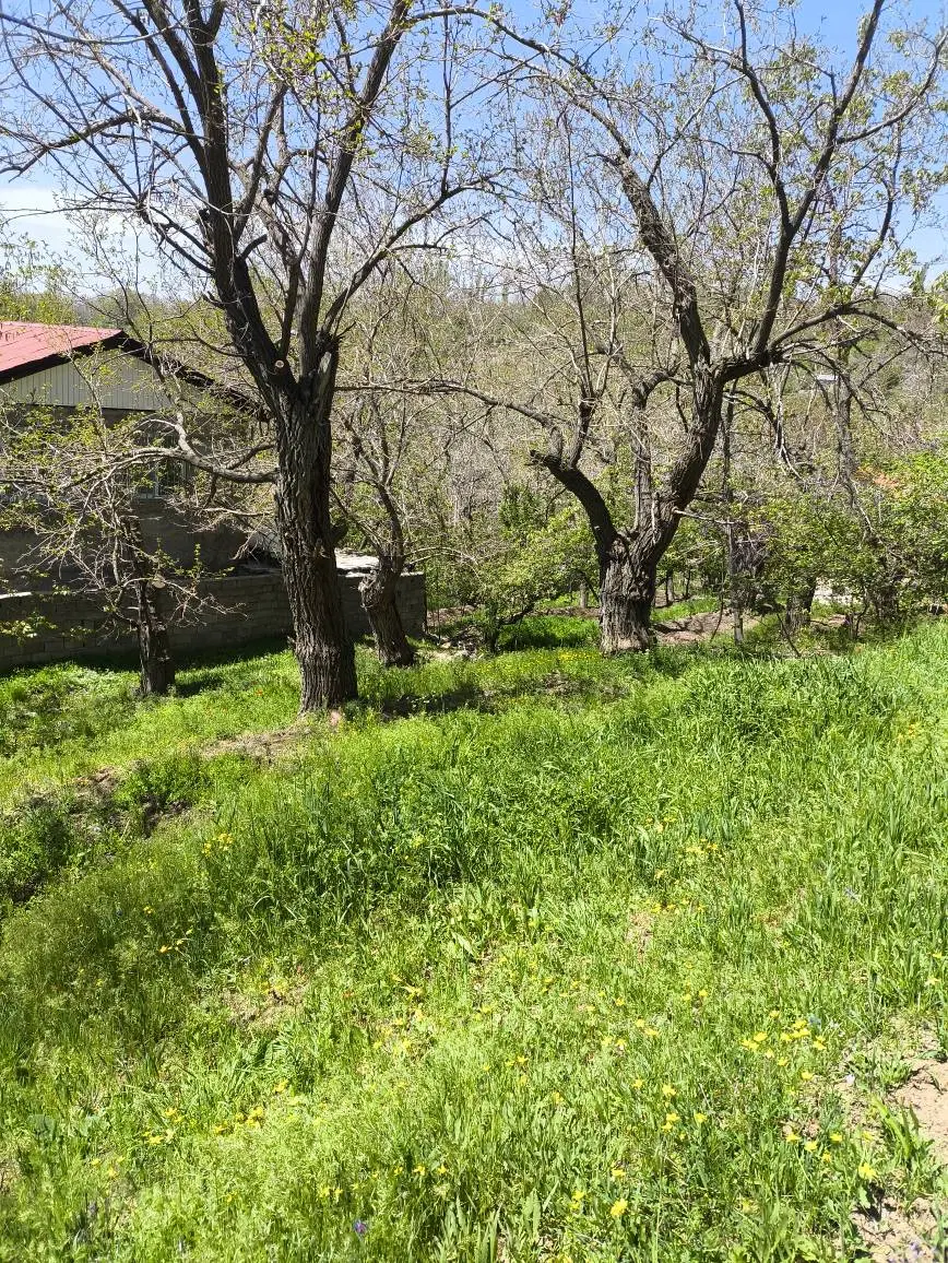 باغ زیبا در روستای ولیان زیر قیمت منطقه