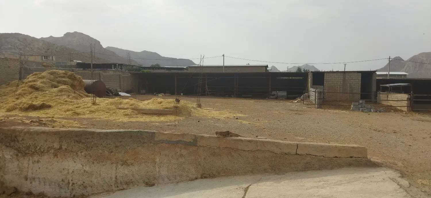 گاوداری صنعتی