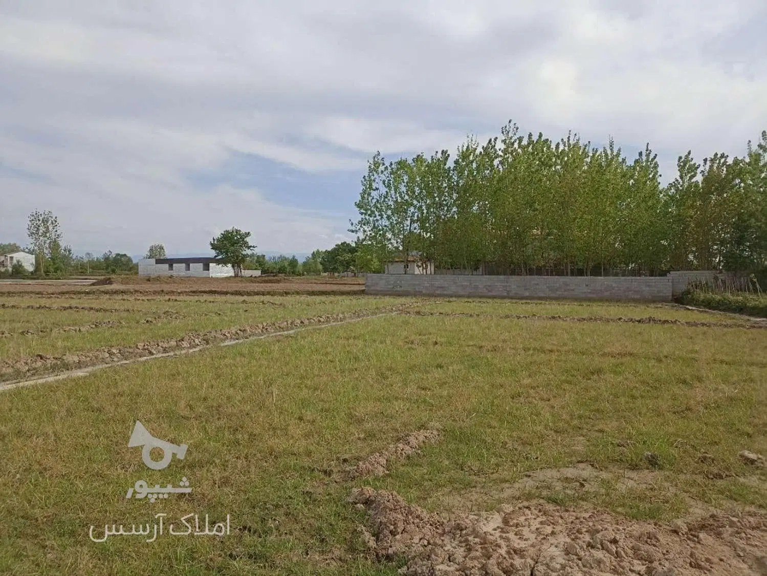 فروش فیش شهرداری در میدان بسیج