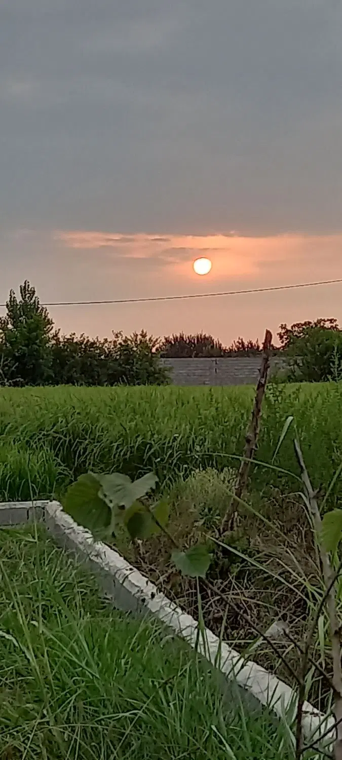 یه قعطه زمین درساری