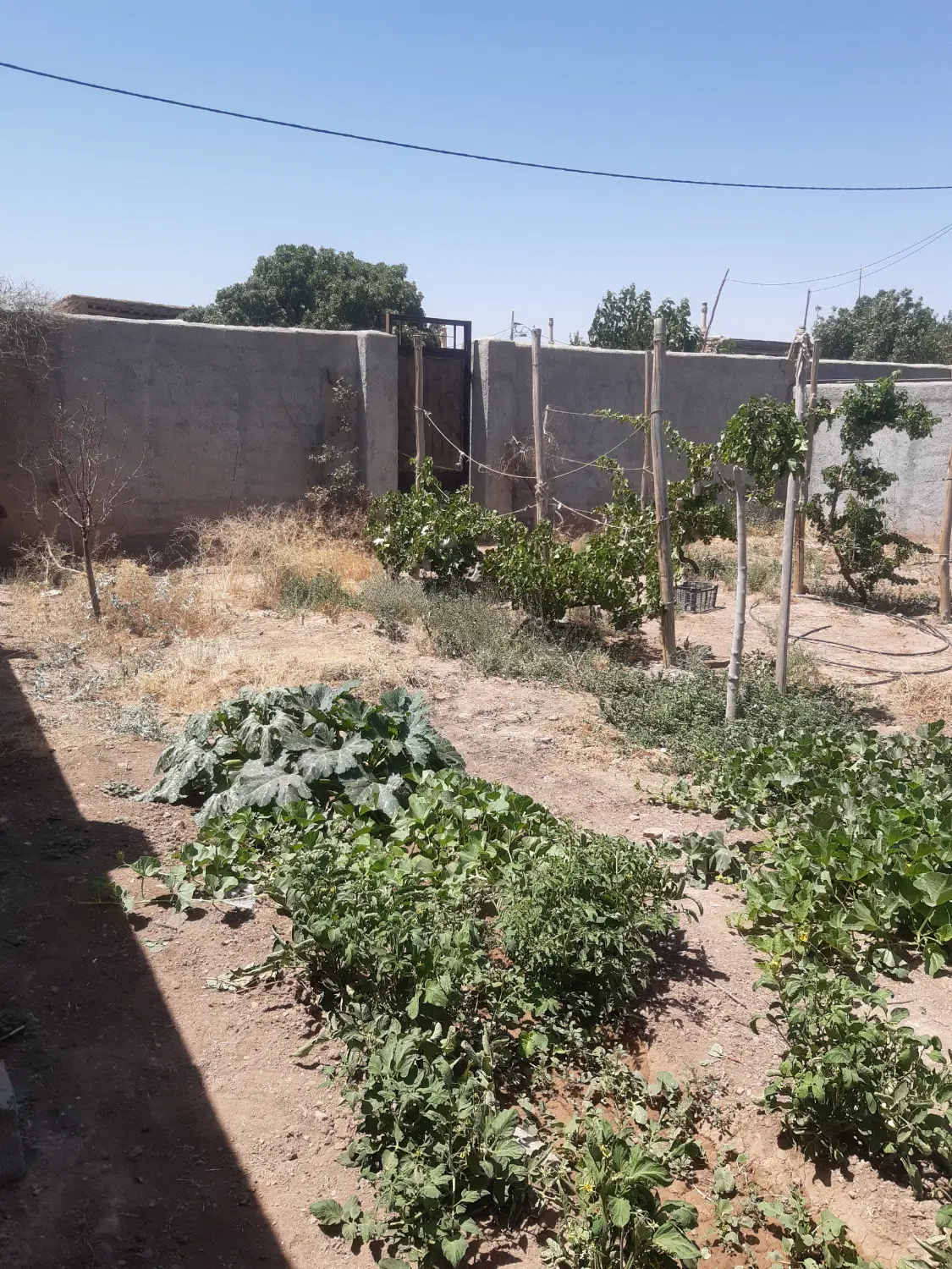 زمین مسکونی  برای سرمایه‌گذاری