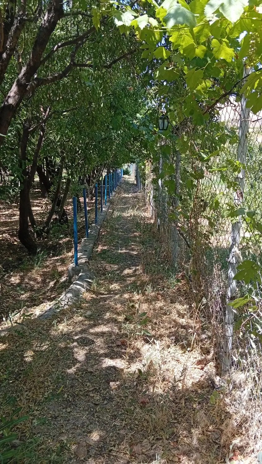 باغ ثمردار