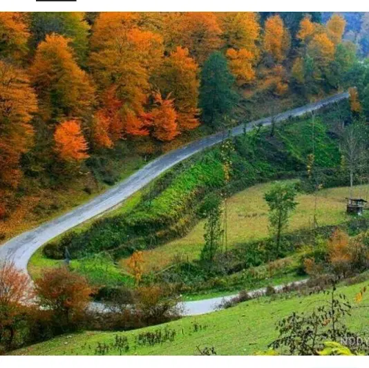 زمین شمال روستای چهارمحل