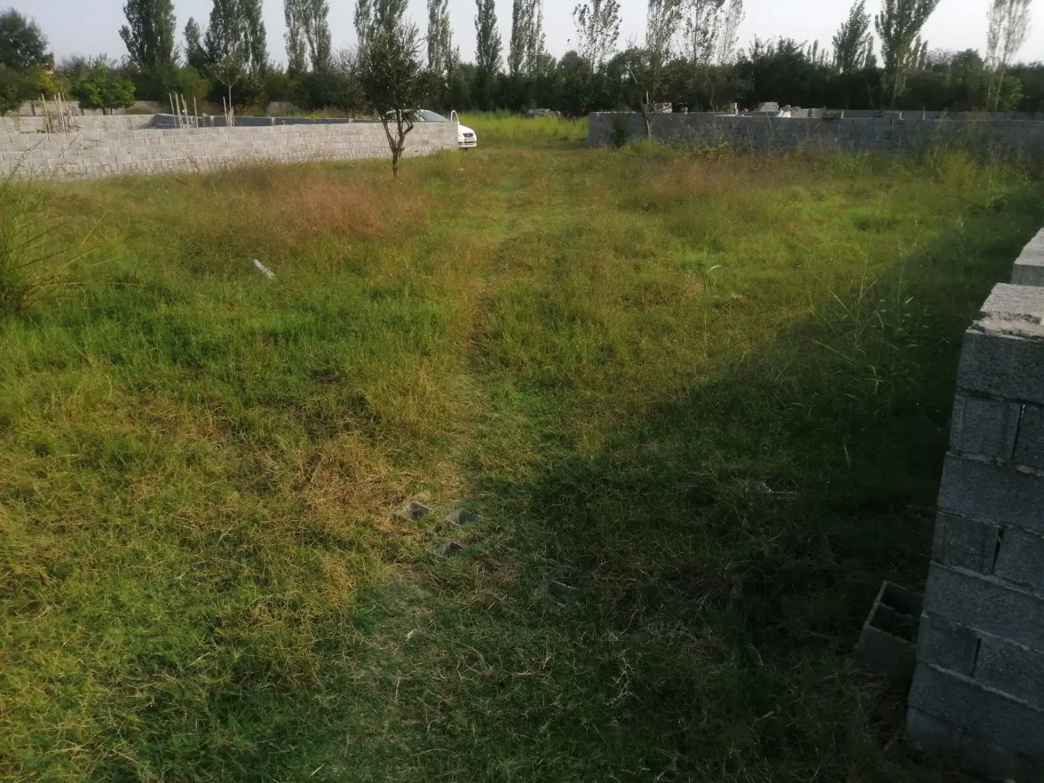 زمین ۳۰۰متری کمربندی امیرکلا