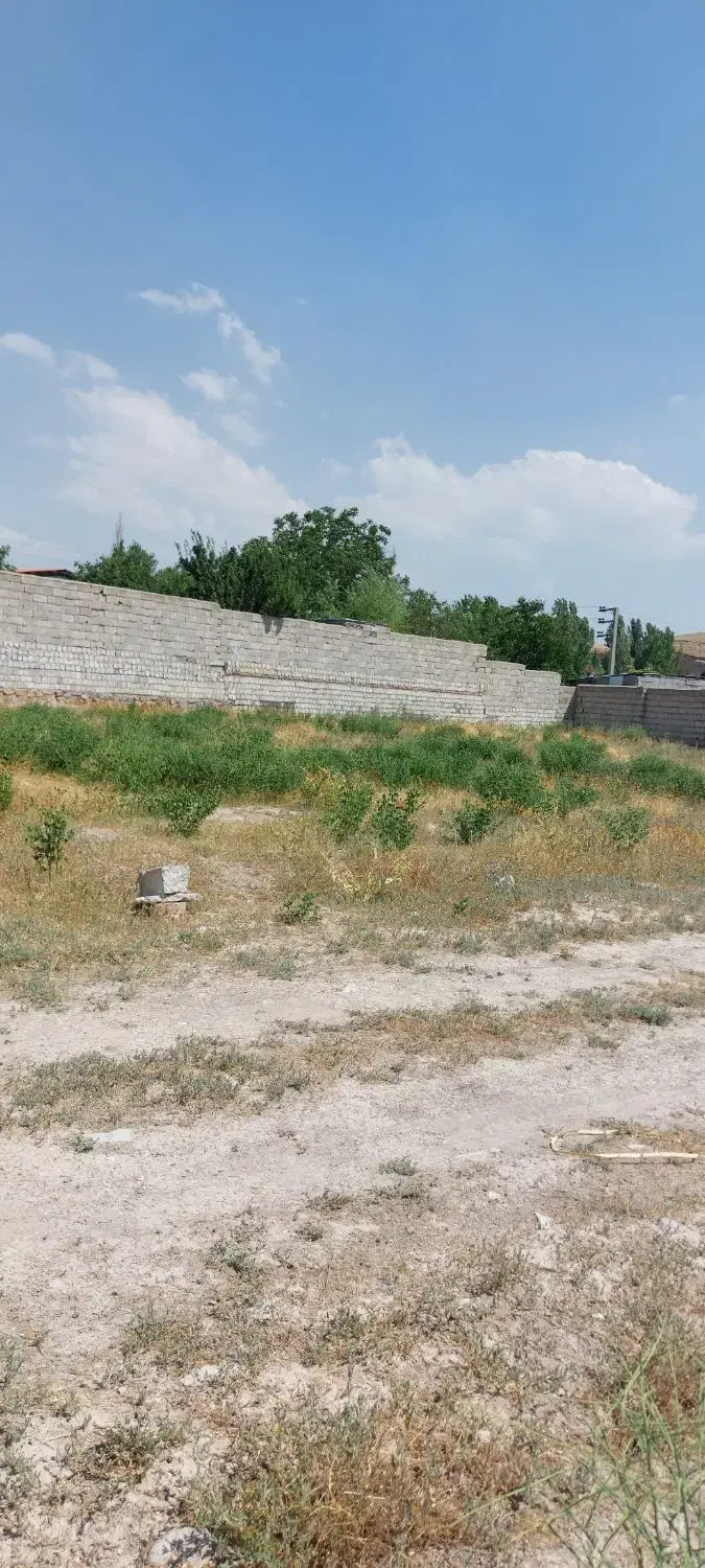 زمین.لبسنگی. سند. تک برگ