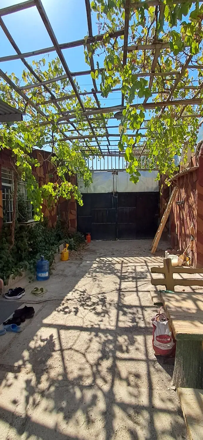 باغ ۱۰۰۰ متری جاده کلات قیمت فوق استثنایی
