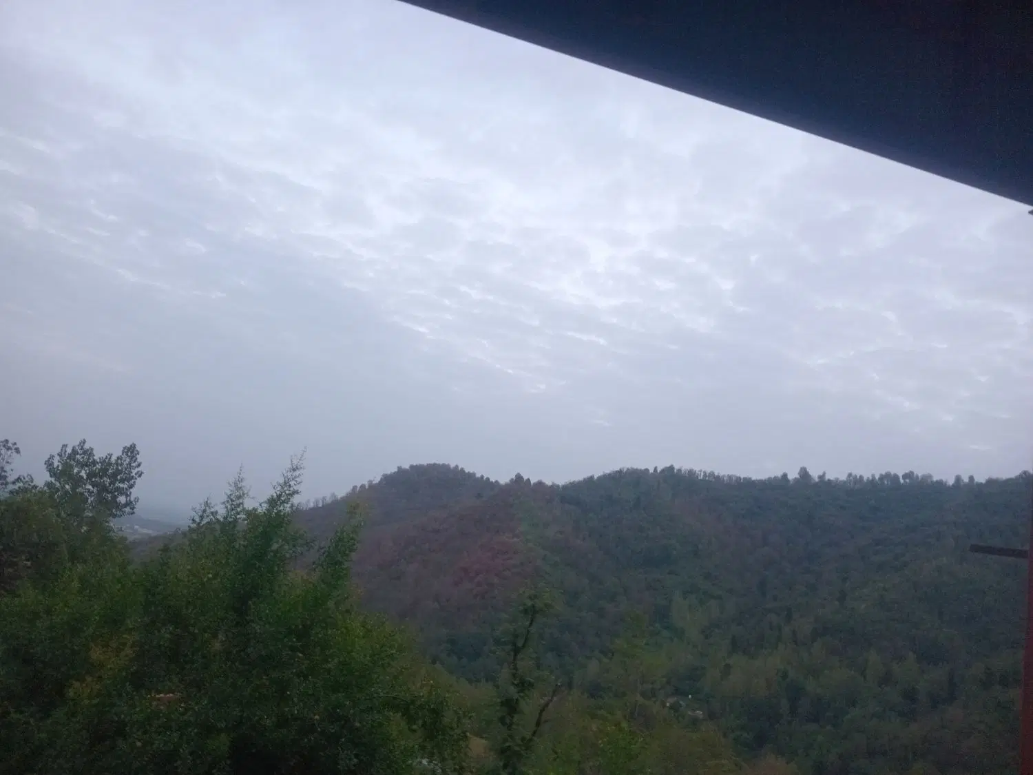 ویلایی در دل جنگل