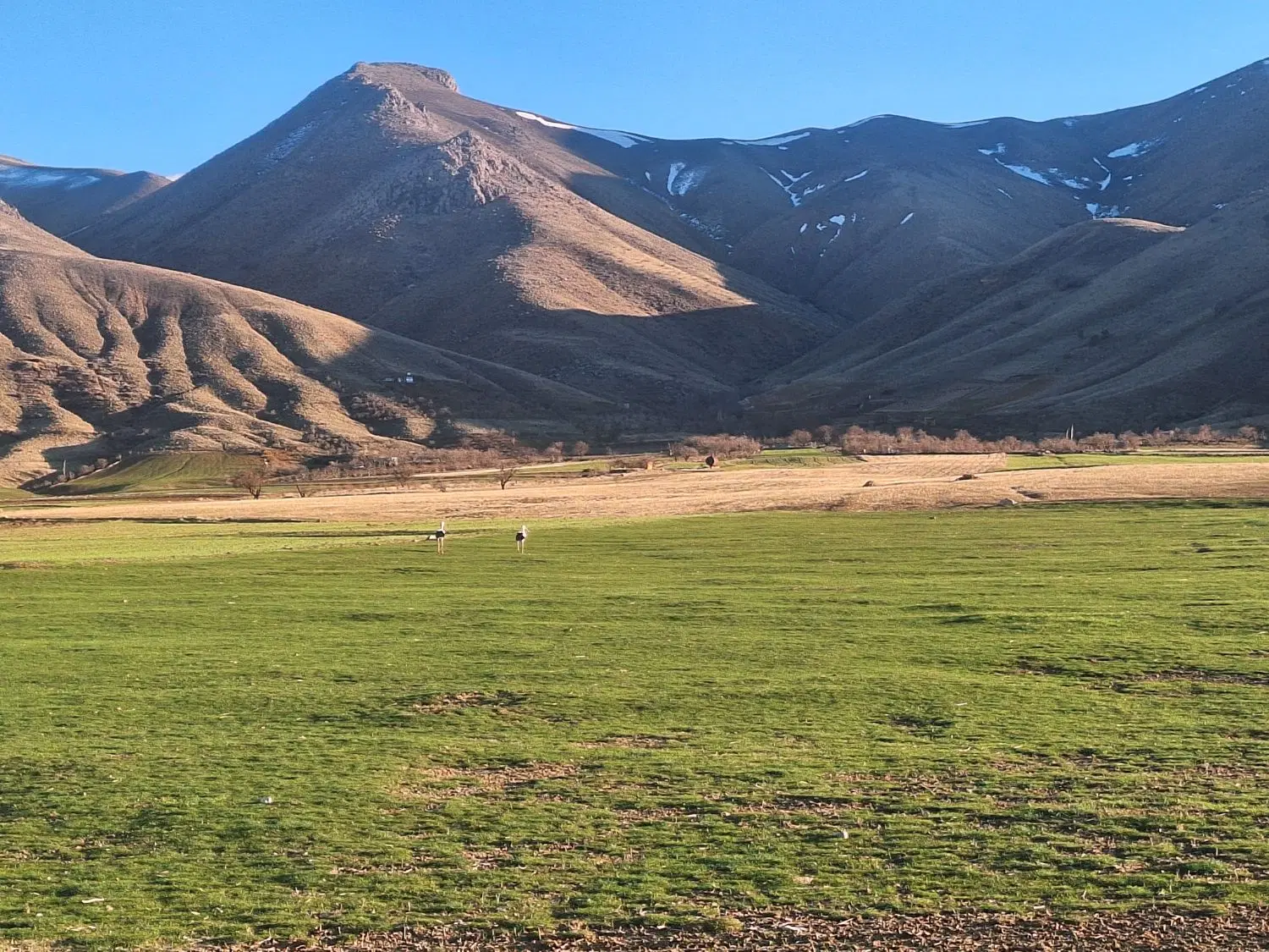 ۵۰۰ متر زمین دیم مناسب باغچه مشرف به سد خیاران