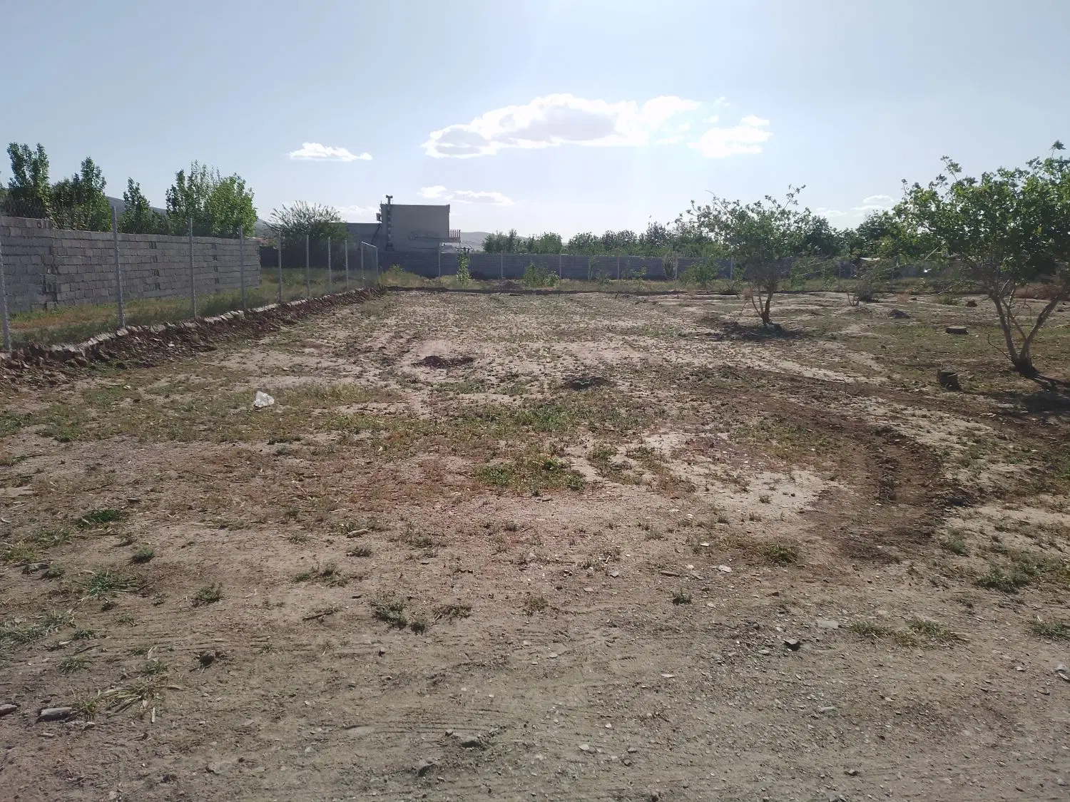 زمین باغی توچغاز مزرعه دماوندی