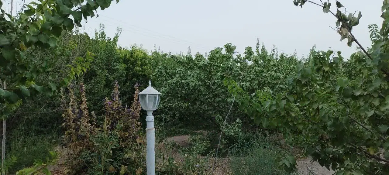 فروش باغ