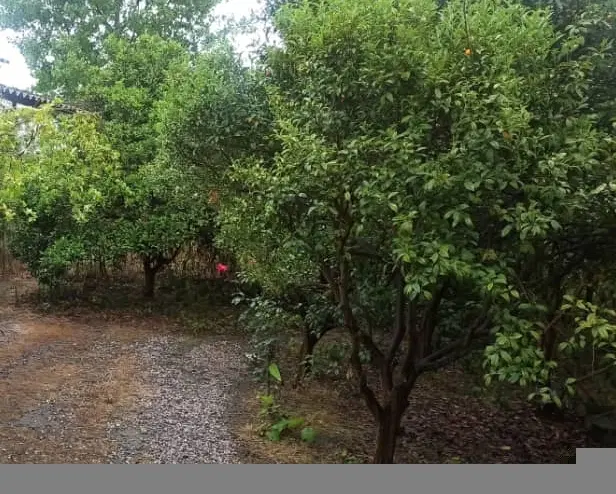 ۱۲۰متری ۸بهر بافت مسکونی آب برق گاز  (قاسمی املاک)