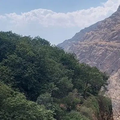 زمین زعفران ۱۲۰۰ متر