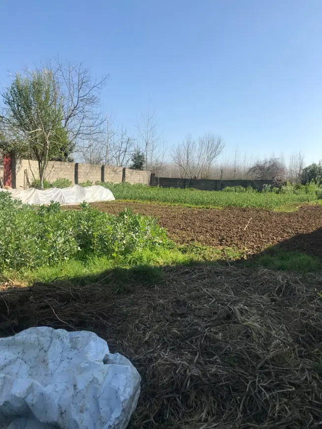 زمین مسکونی به متراژ ۲۶۵ متر فرهنگیان ضیابر
